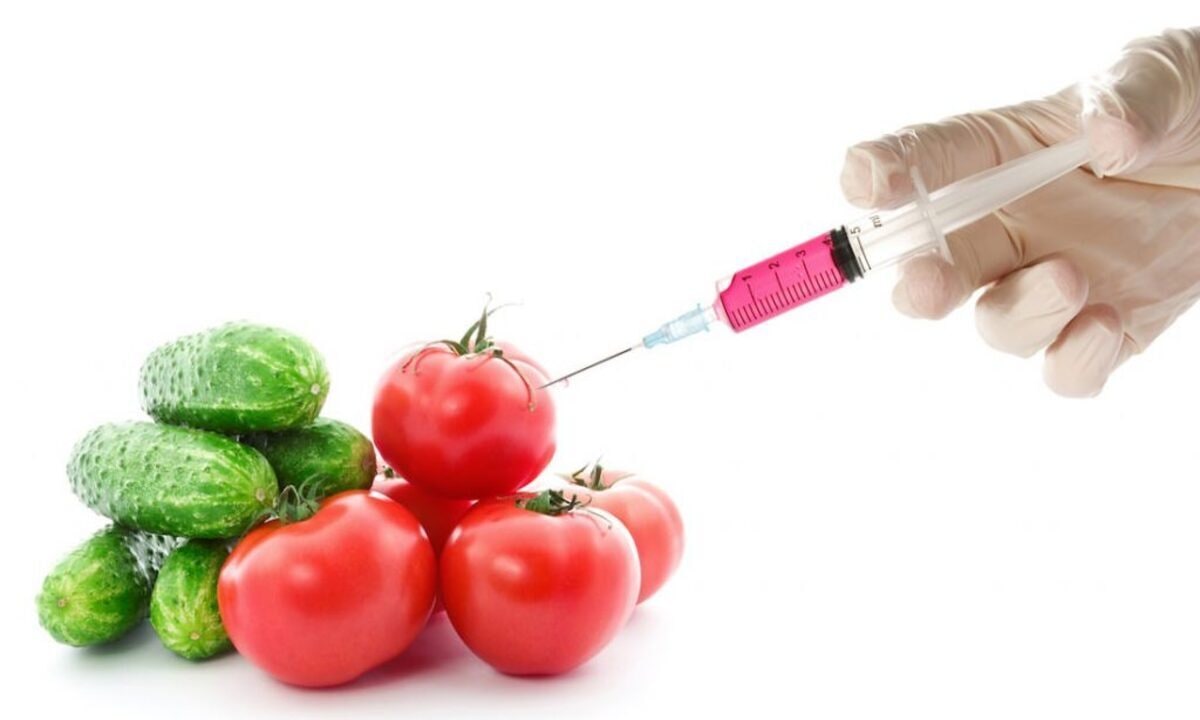 imagen: chilebio