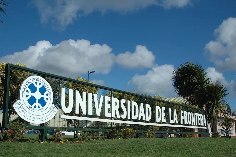 Imagen: Araucanía Diario