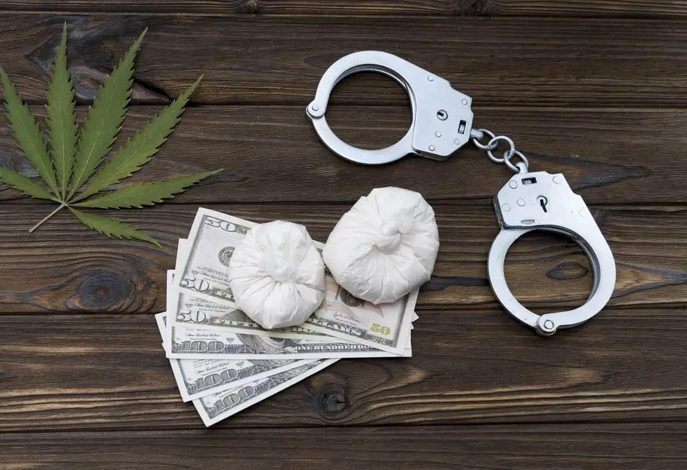Justicia Argentina confirma sobreseimiento por tenencia de cannabis sin flores y declara atípica la conducta