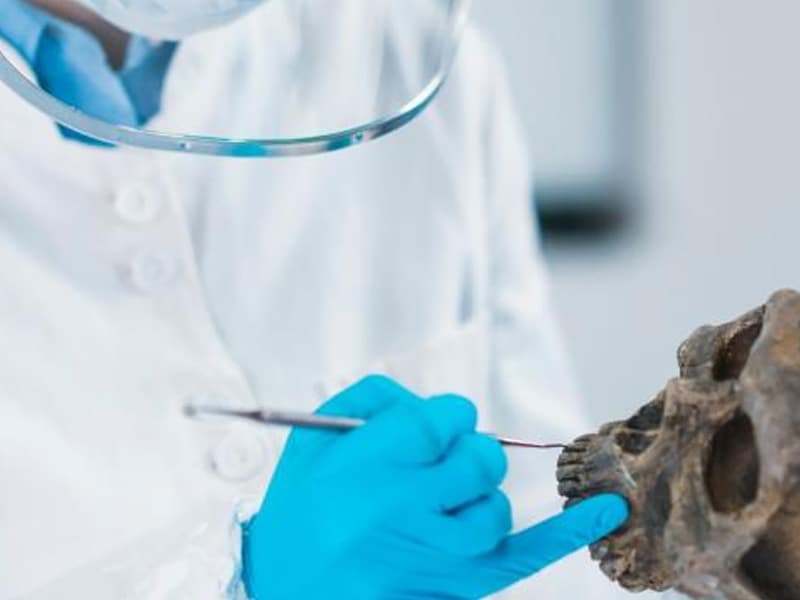 Exhumación y prueba genética permiten reconocer filiación extramatrimonial de adolescente