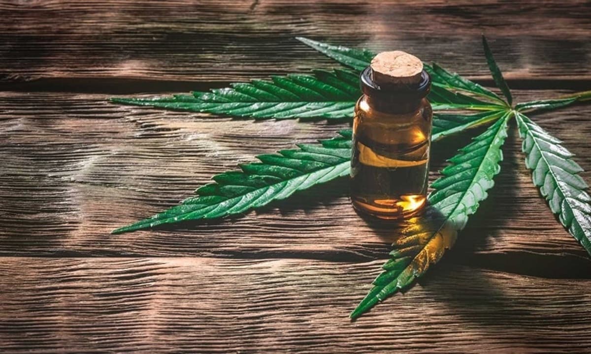 cannabis medicinal estados unidos
