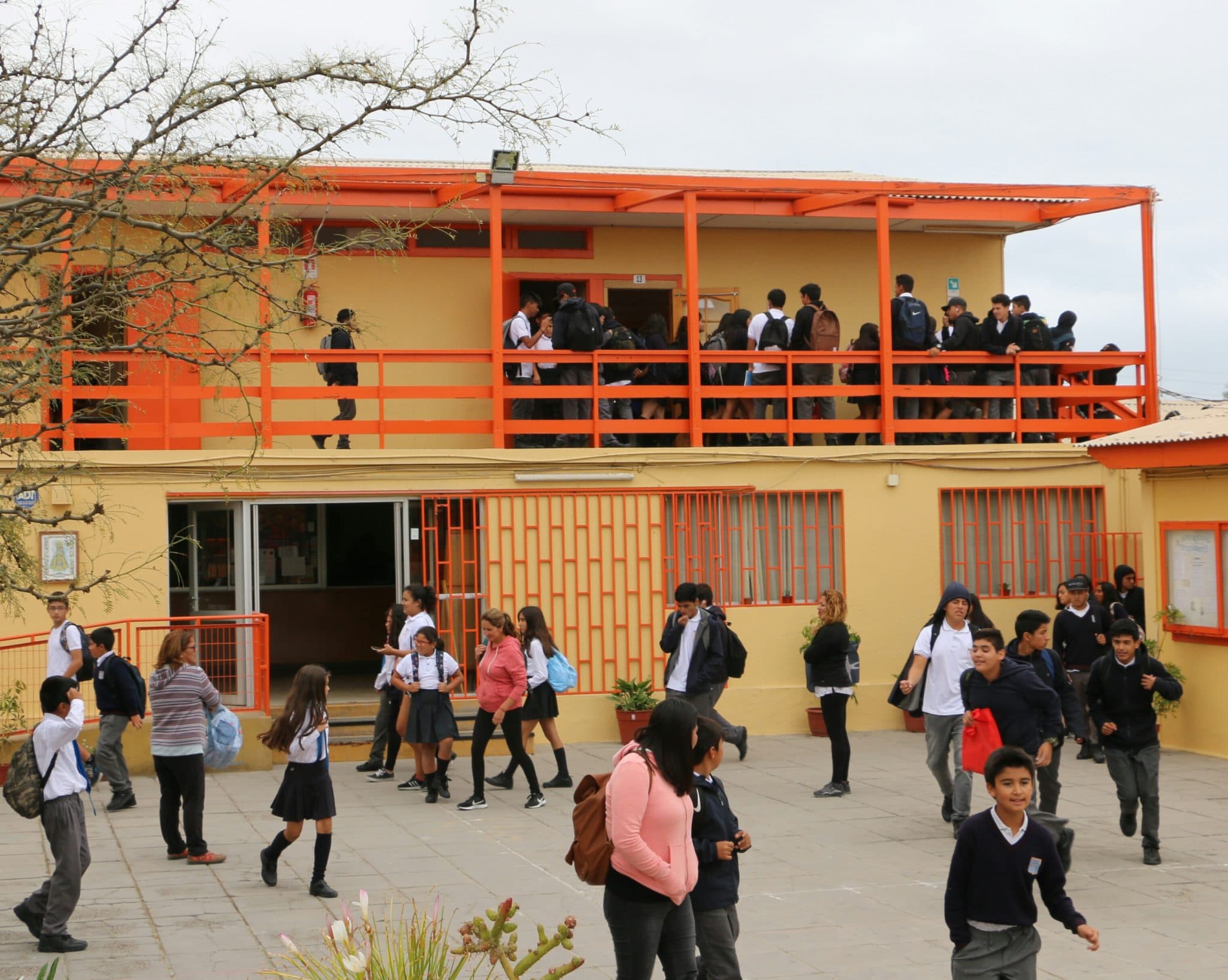 Corte Suprema rechaza protección contra colegio por inhabilitación de apoderado por extemporánea