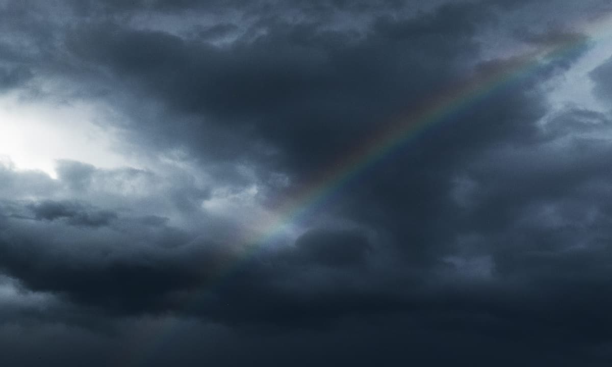 Imagen: unsplash