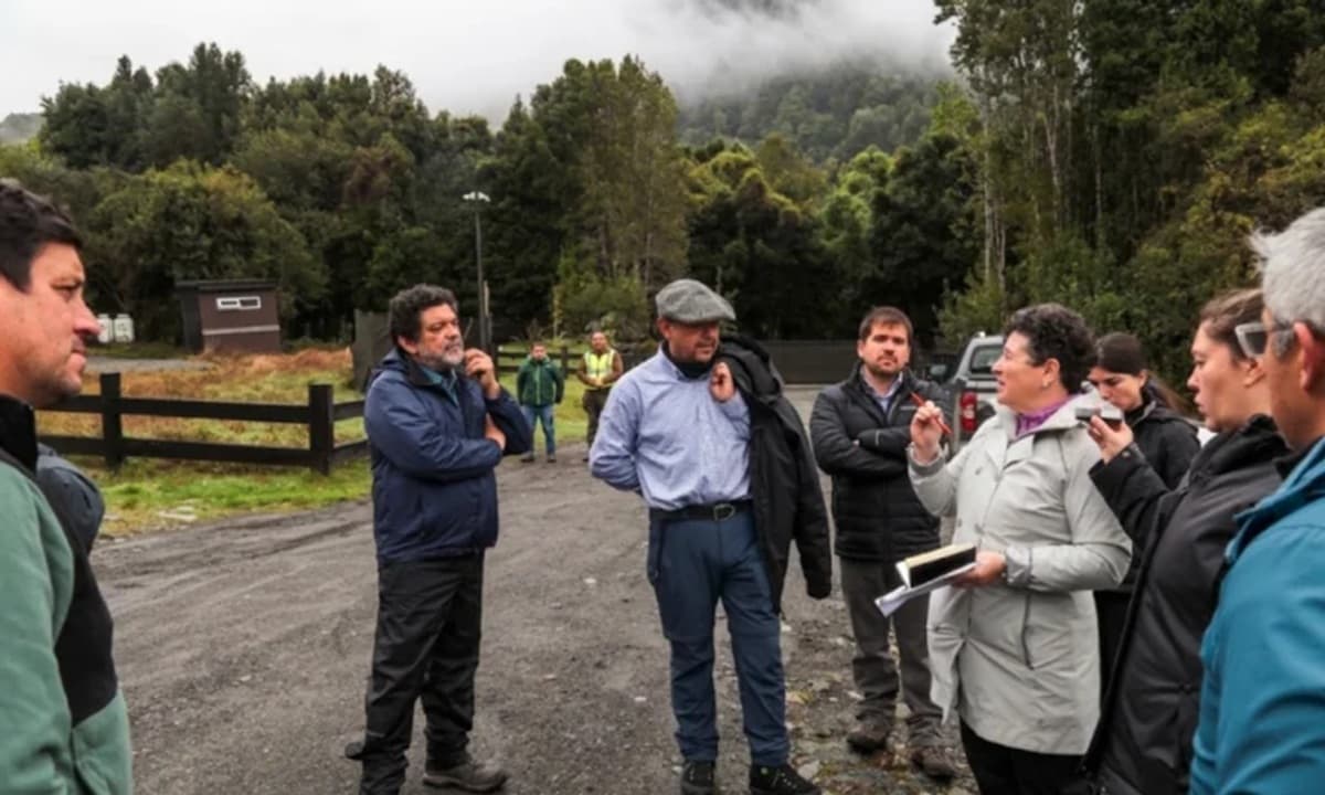 Tercer Tribunal Ambiental realizó inspección en demanda por daño ambiental contra proyecto inmobiliario en Petrohué