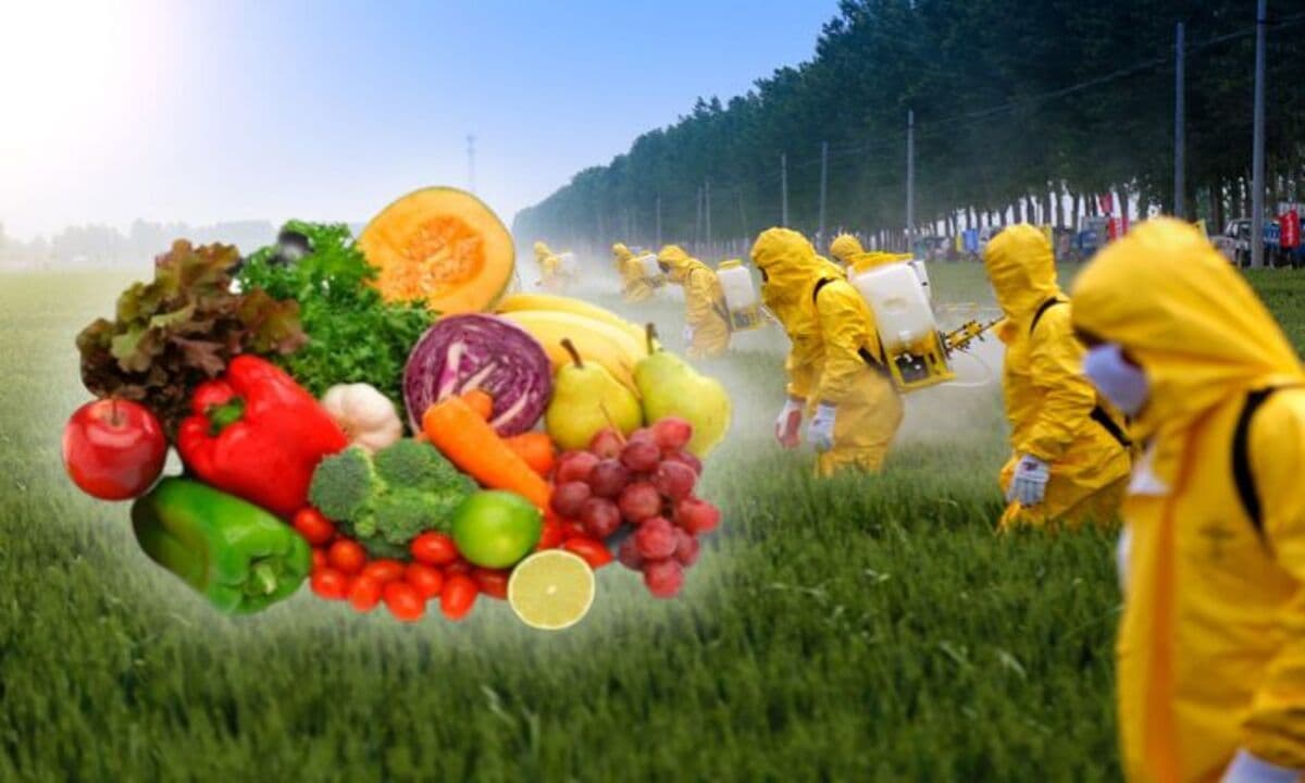 frutas y verduras que contienen pesticidas prohibidos en la Unión Europea