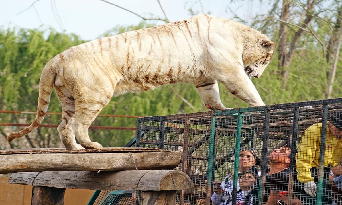 Imagen: tripadvisor.com