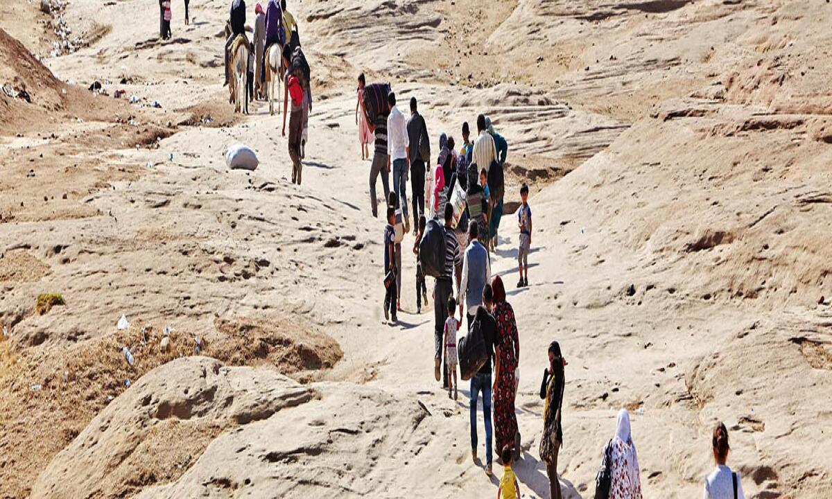 Ciudadana venezolana recurre al TC por rechazo de solicitud de refugio basada en hechos sobrevinientes