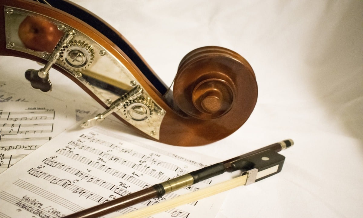 orquesta musical espectáculo deficiente