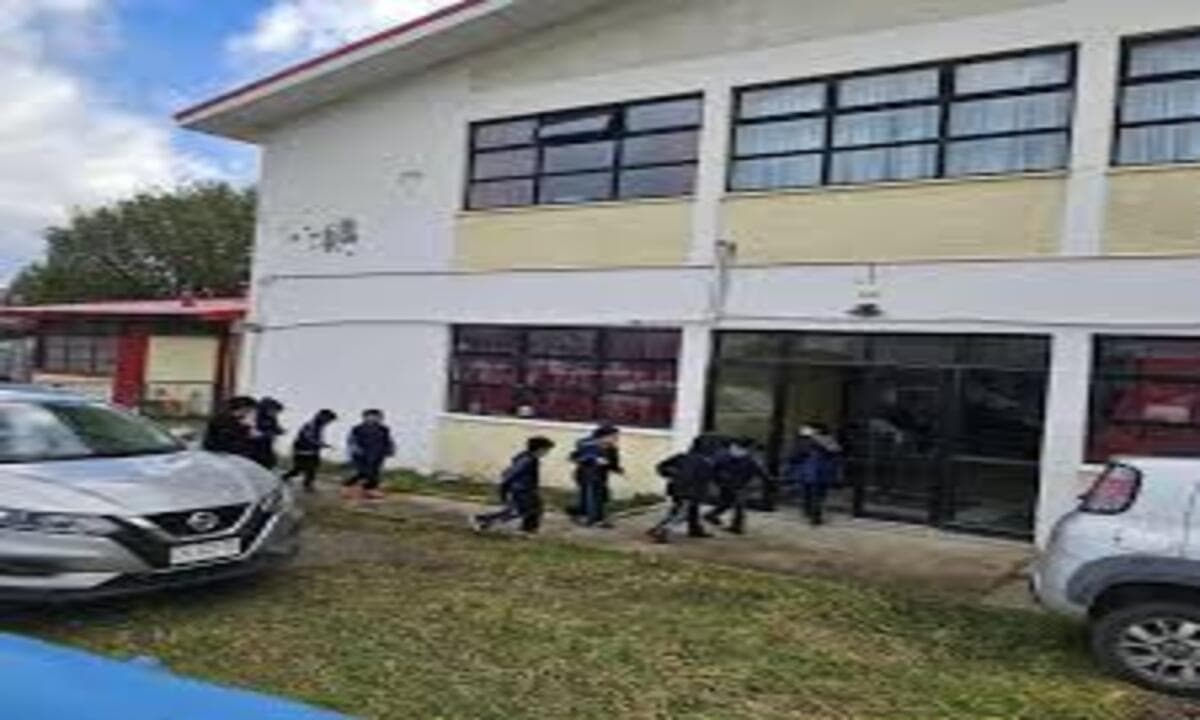 TCP declara ilegal adjudicación por validar oferta económica que no cumplía formato obligatorio de las bases