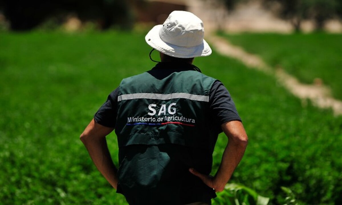 TC valida norma que impide apelar sentencias en reclamaciones judiciales contra sanciones del SAG