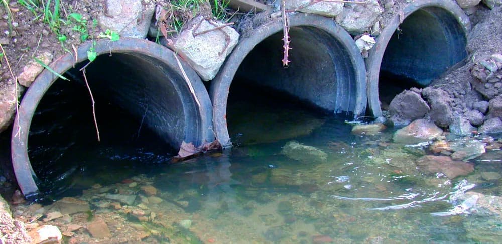 Simiplaneta.cl