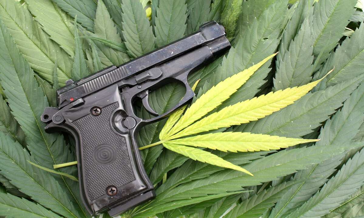 estados unidos armas de fuego consumidores de marihuana