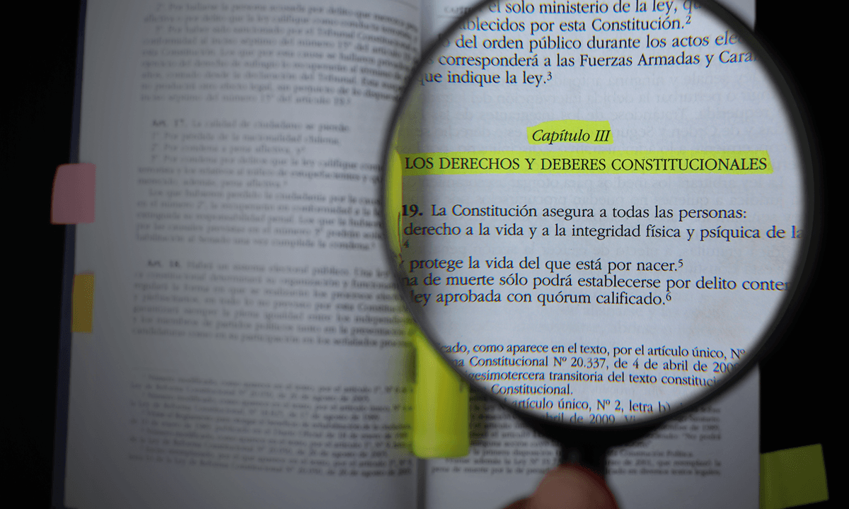 imagen: pauta.cl