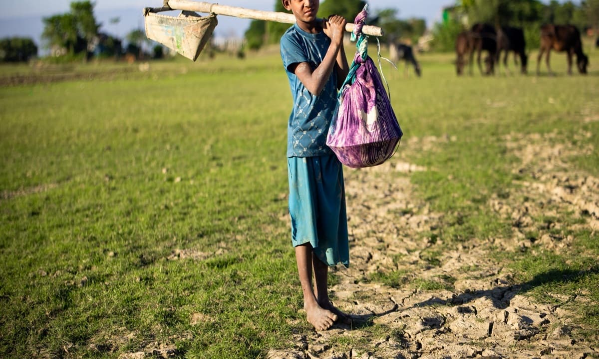 imagen: ilo.org