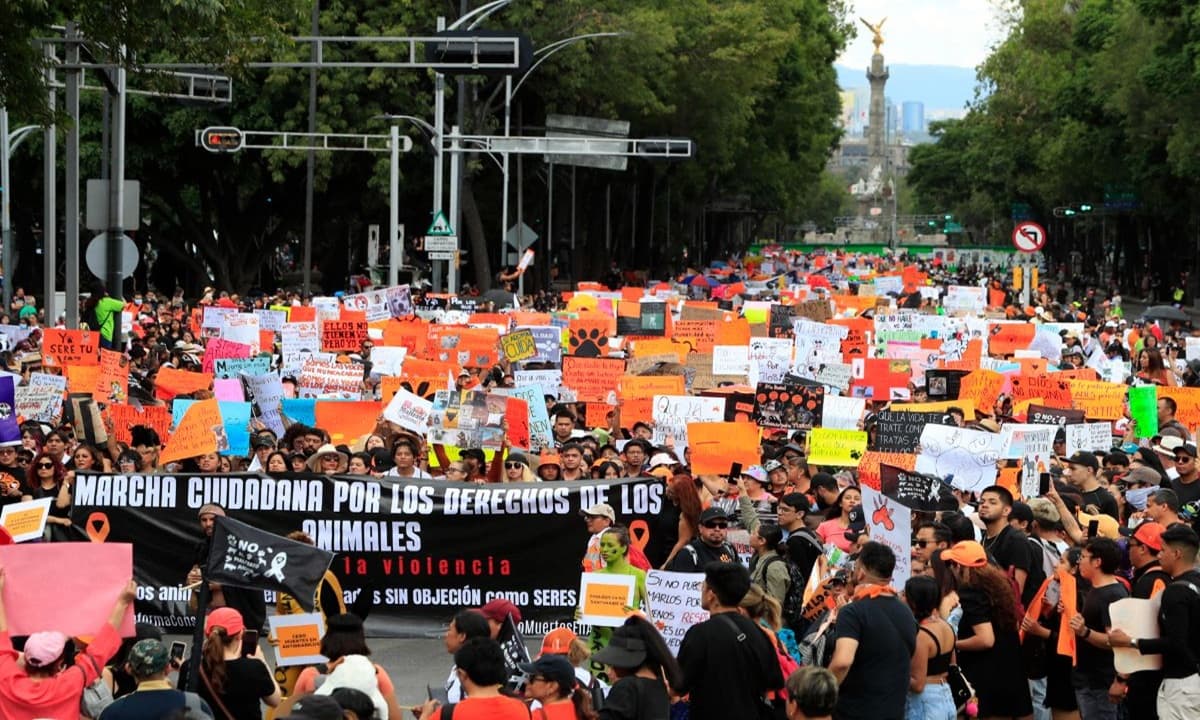 imagen: aristeguinoticias.com