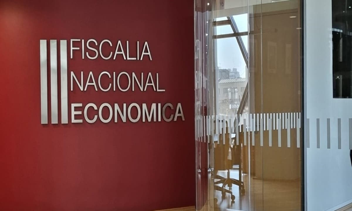 Imagen: fne.gob.cl