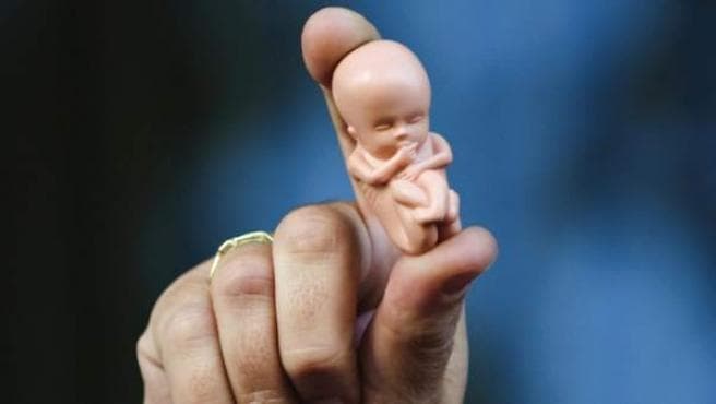 Aborto