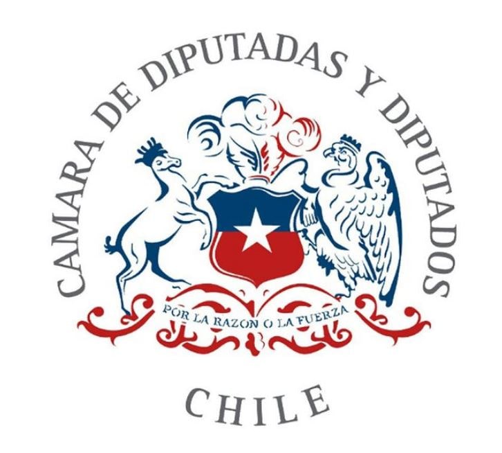 Cámara baja