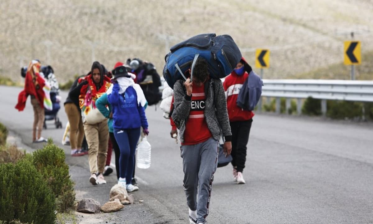 Corte deja sin efecto expulsión de venezolano que ingresó clandestinamente a Chile siendo menor de edad