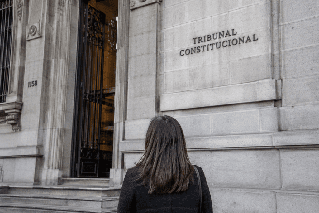 Deudora del CAE impugna ante el TC cobro de Tesorería mediante procedimiento tributario