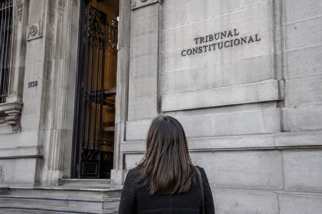 Deudora del CAE impugna ante el TC cobro de Tesorería mediante procedimiento tributario