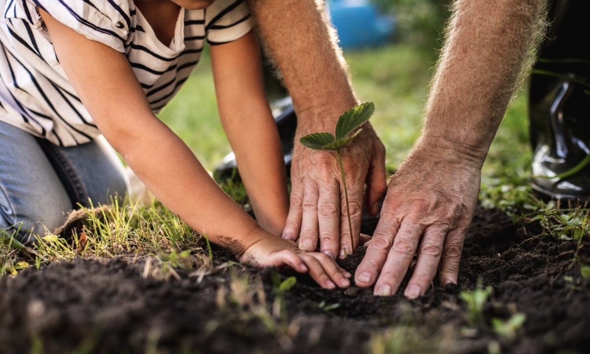 Evaluación Ambiental Estratégica (EAE)