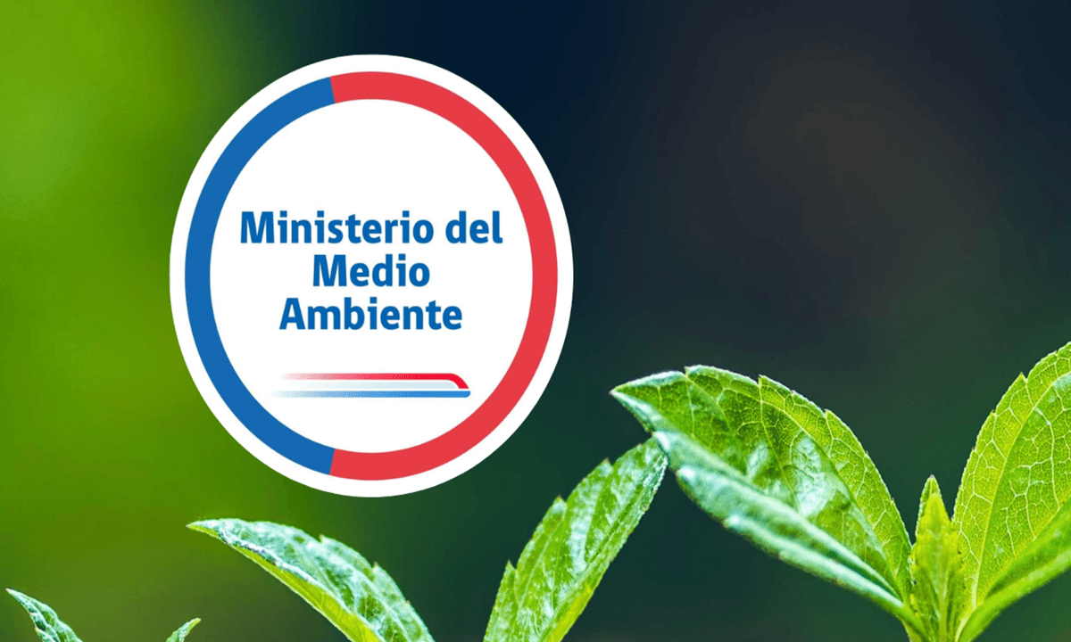 Ministerio del Medio Ambiente (MMA)