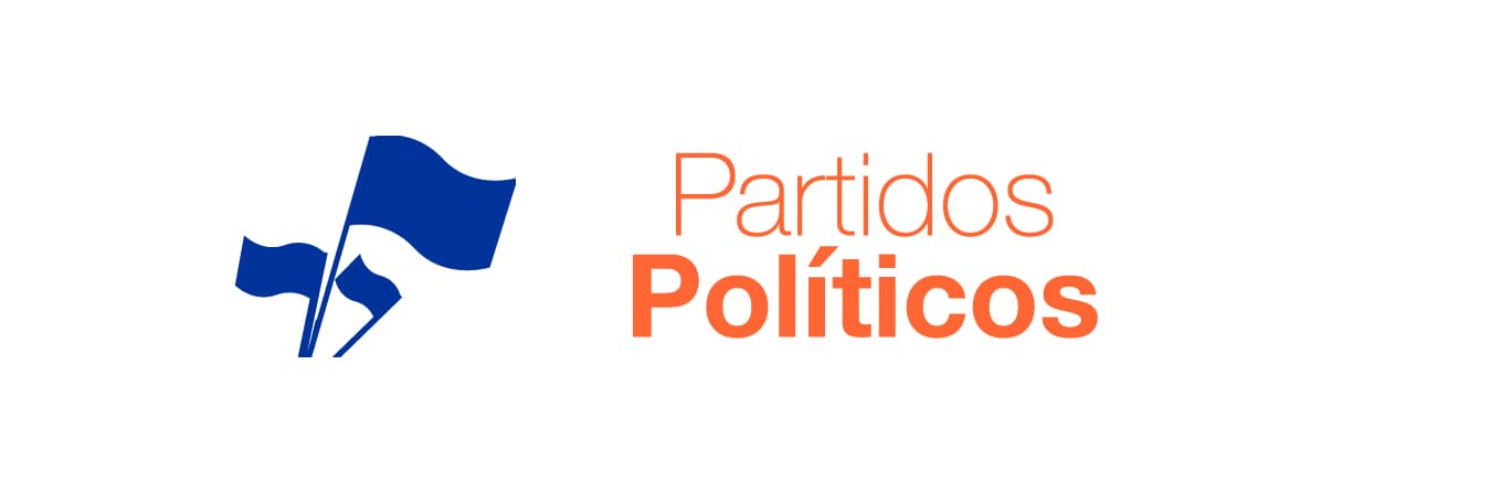 Partido político
