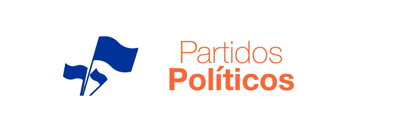 Partido político