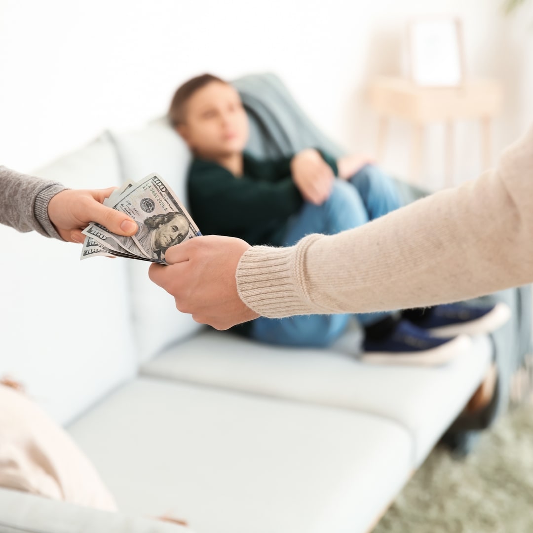 Registro Nacional de Pensiones de Alimentos
