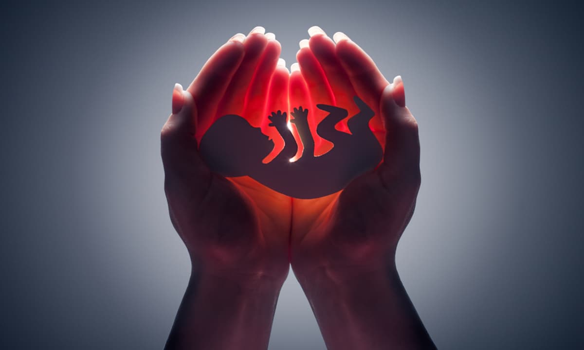 Tribunal de EE.UU. declara inconstitucional prohibición casi total del aborto en el Estado de Idaho