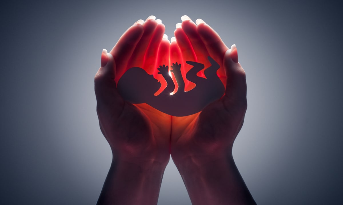 Tribunal de EE.UU. declara inconstitucional prohibición casi total del aborto en el Estado de Idaho